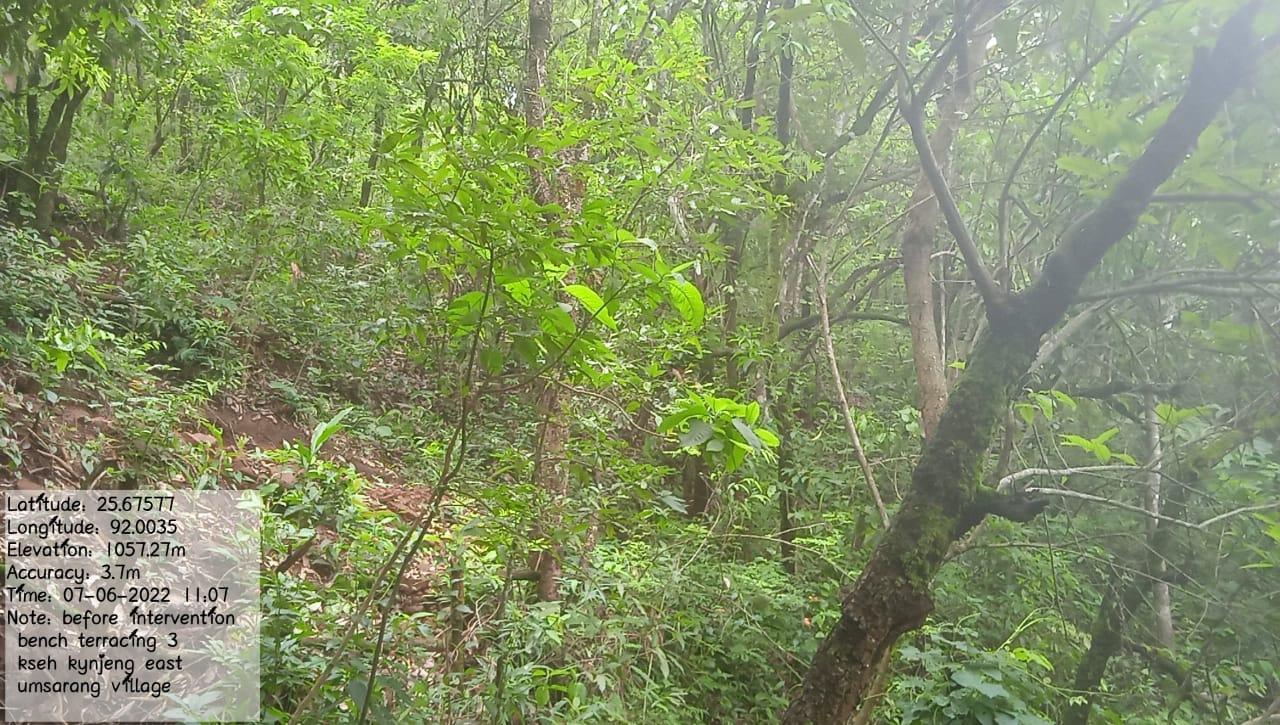 C:\Users\Lavinia Pde\Downloads\WhatsApp Image 2023-03-27 at 12.32.41 (2).jpeg